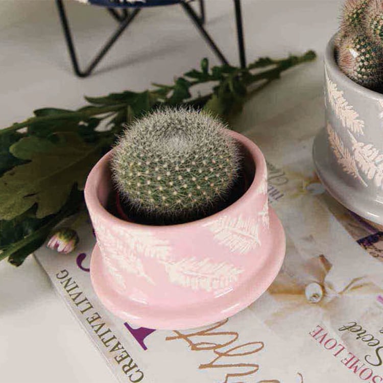 Custom High Quality Painted Glaze Ceramic Planter