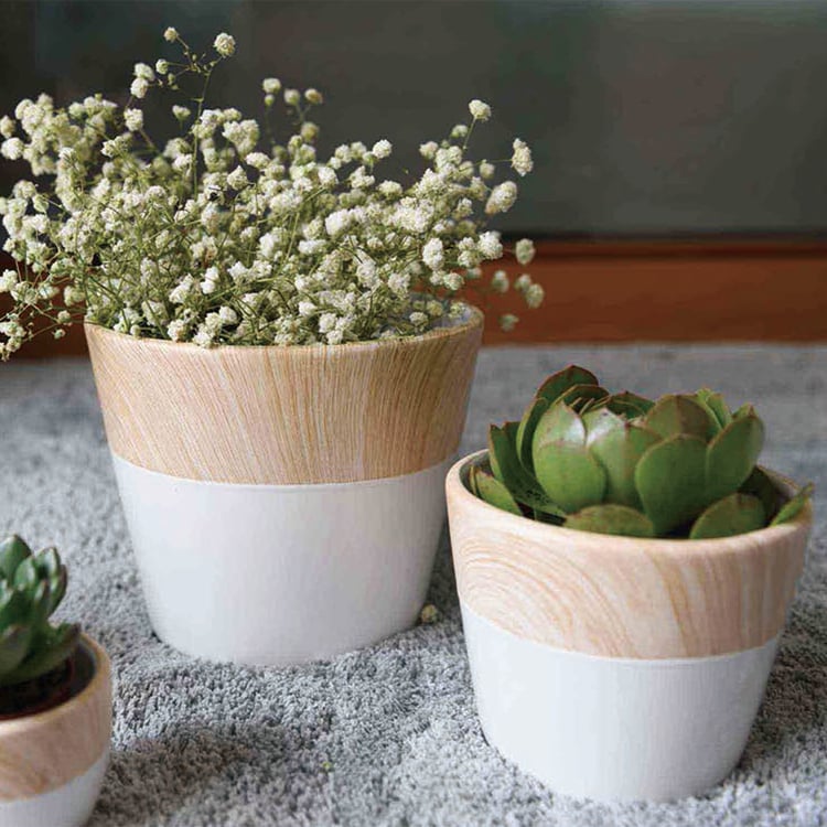 Best selling product modern bowl shape ceramic garden planters flower pot