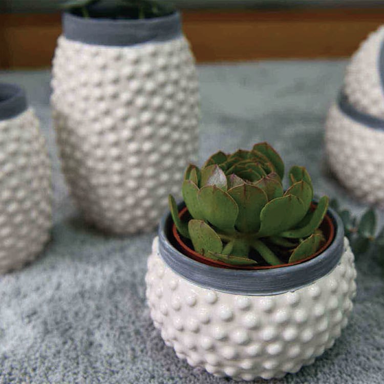 Most Popular Desk Decor Ceramic Small Flower Planter Pot For Succulent