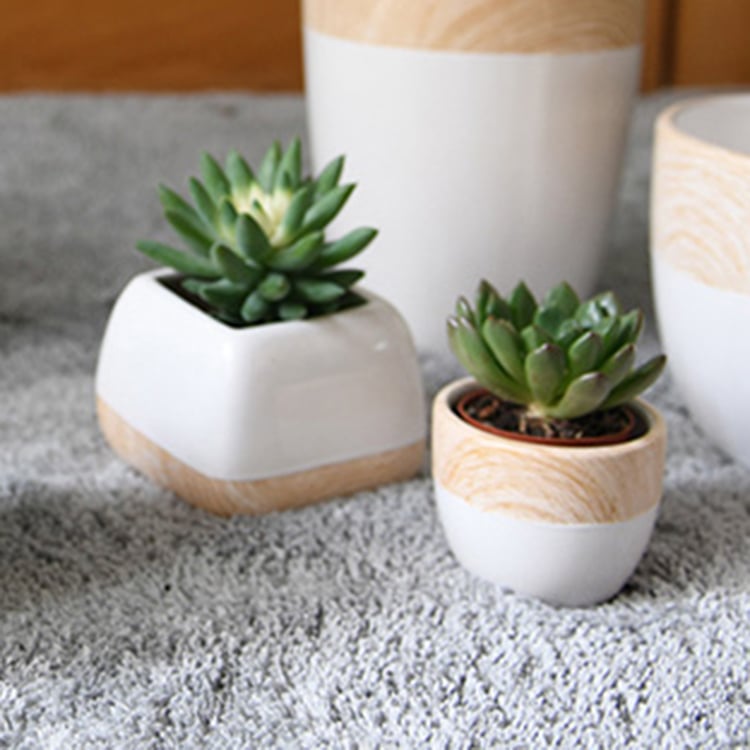 Hot Promotion Fashion Design Wood Painting Ceramic Flowerpot