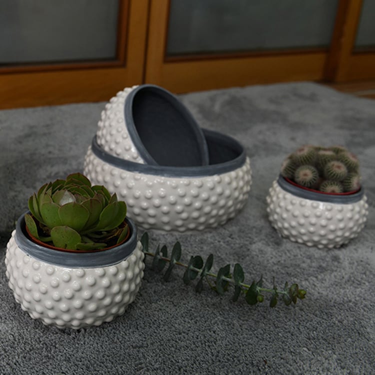 Most Popular Chines Vintage Succulent White Ceramic Planter Pots