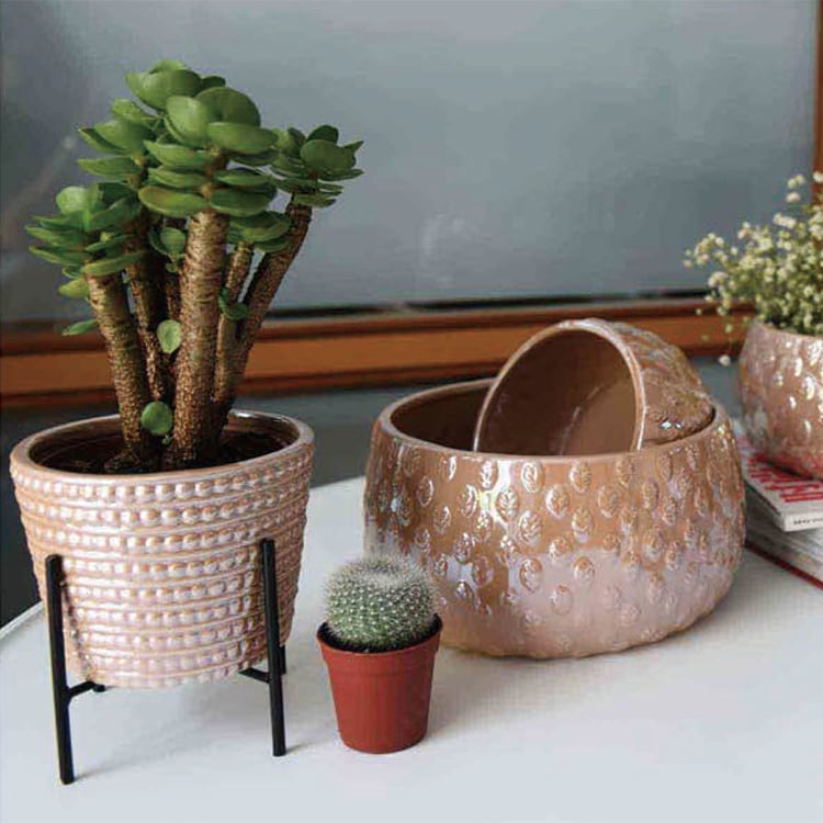 OEM Eggshell Plant Flowers Ceramic Flower Pot