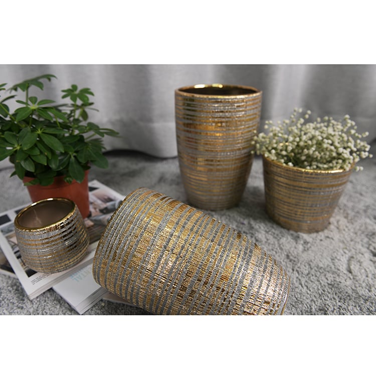 High Quality Round Cactus Ceramic Flower Pot And Plant