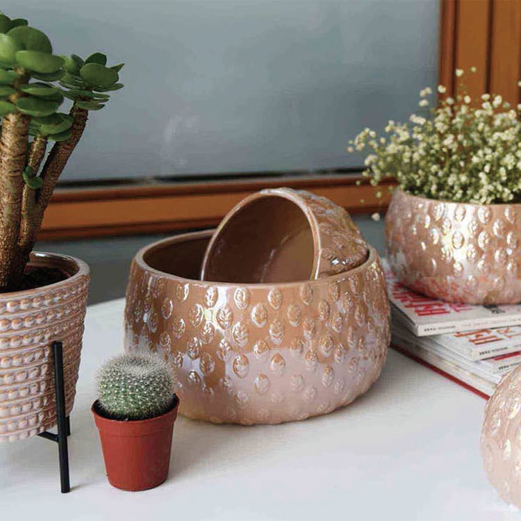 OEM Eggshell Plant Flowers Ceramic Flower Pot