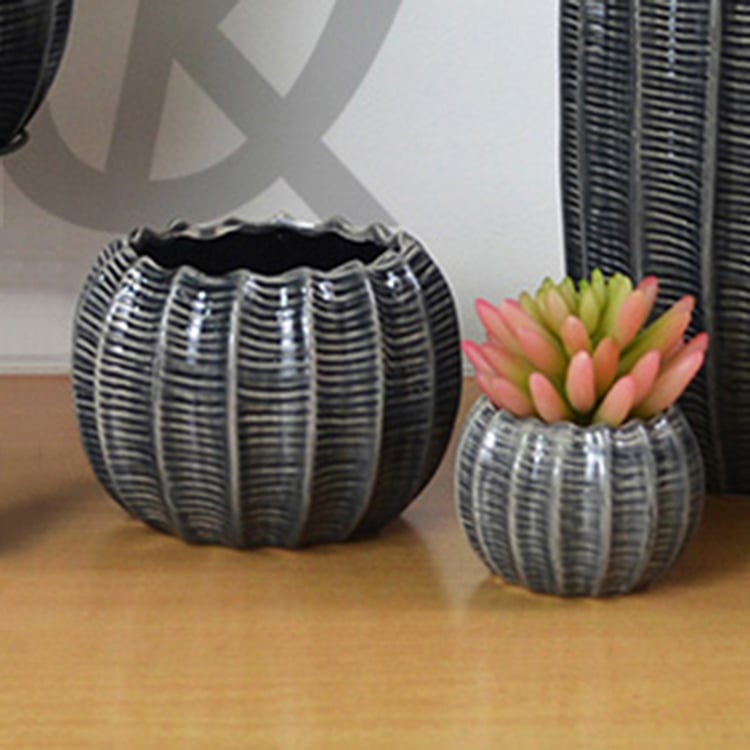 Wholesale High Quality Varied Cheapest Indoor Planter Plant Ceramic Flower Pot