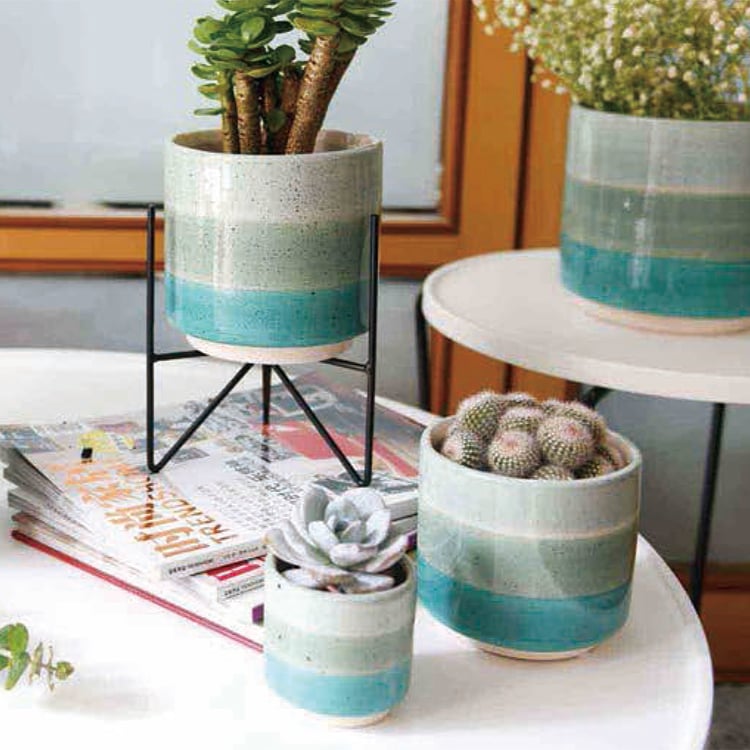 Ceramic Succulent Flower Pot For Plant Indoor And Outdoor