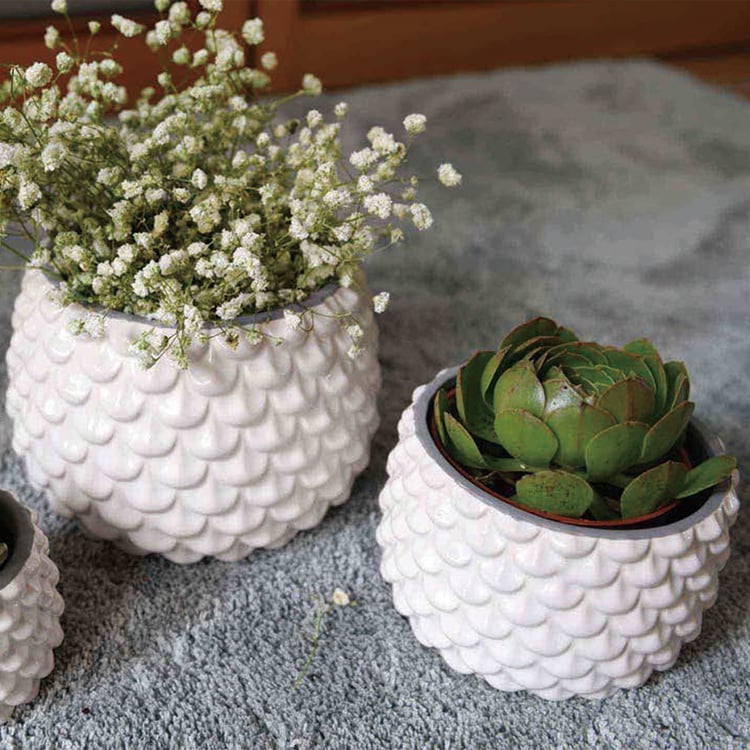 Most Popular Desk Decor Ceramic Small Flower Planter Pot For Succulent