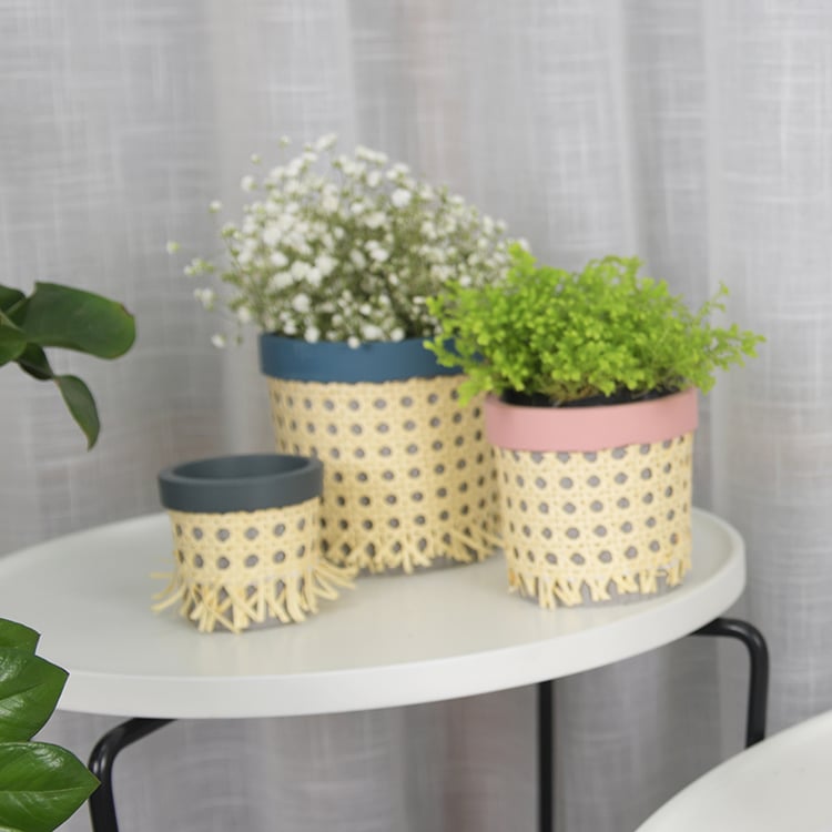 Custom Small Cement Concrete Planter Flower Pot With Rattan Design