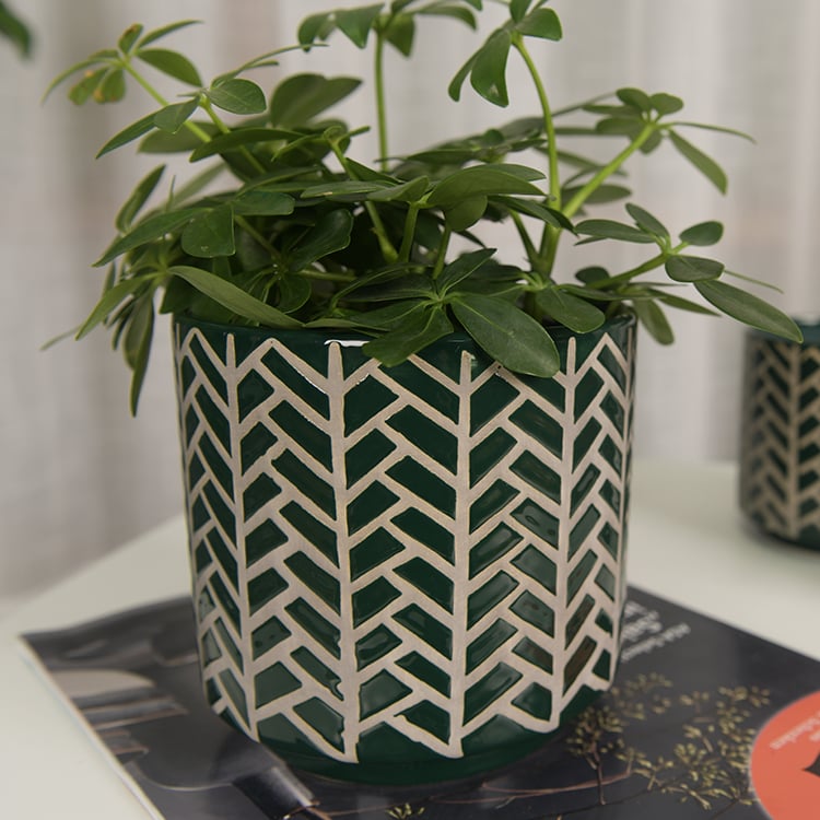 New Commodity Vintage Old Embossed Classic Big Bonsai Ceramic Flower Pot