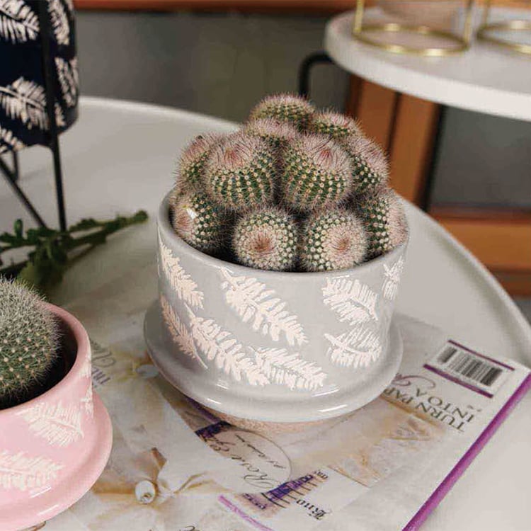 Custom High Quality Painted Glaze Ceramic Planter