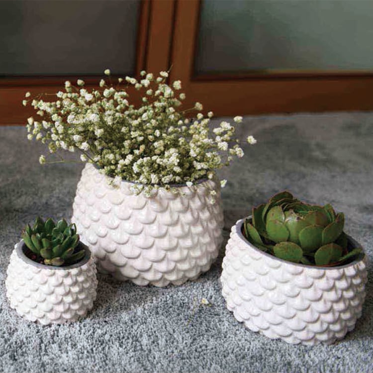 Most Popular Desk Decor Ceramic Small Flower Planter Pot For Succulent