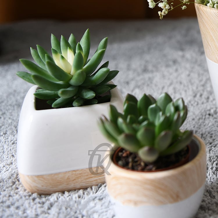 Hot Promotion Fashion Design Wood Painting Ceramic Flowerpot