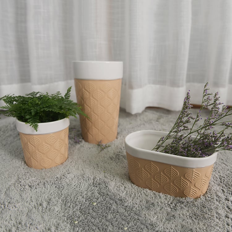 Hot Selling Design Cactus Succulent Glaze Ceramic Flower Pot